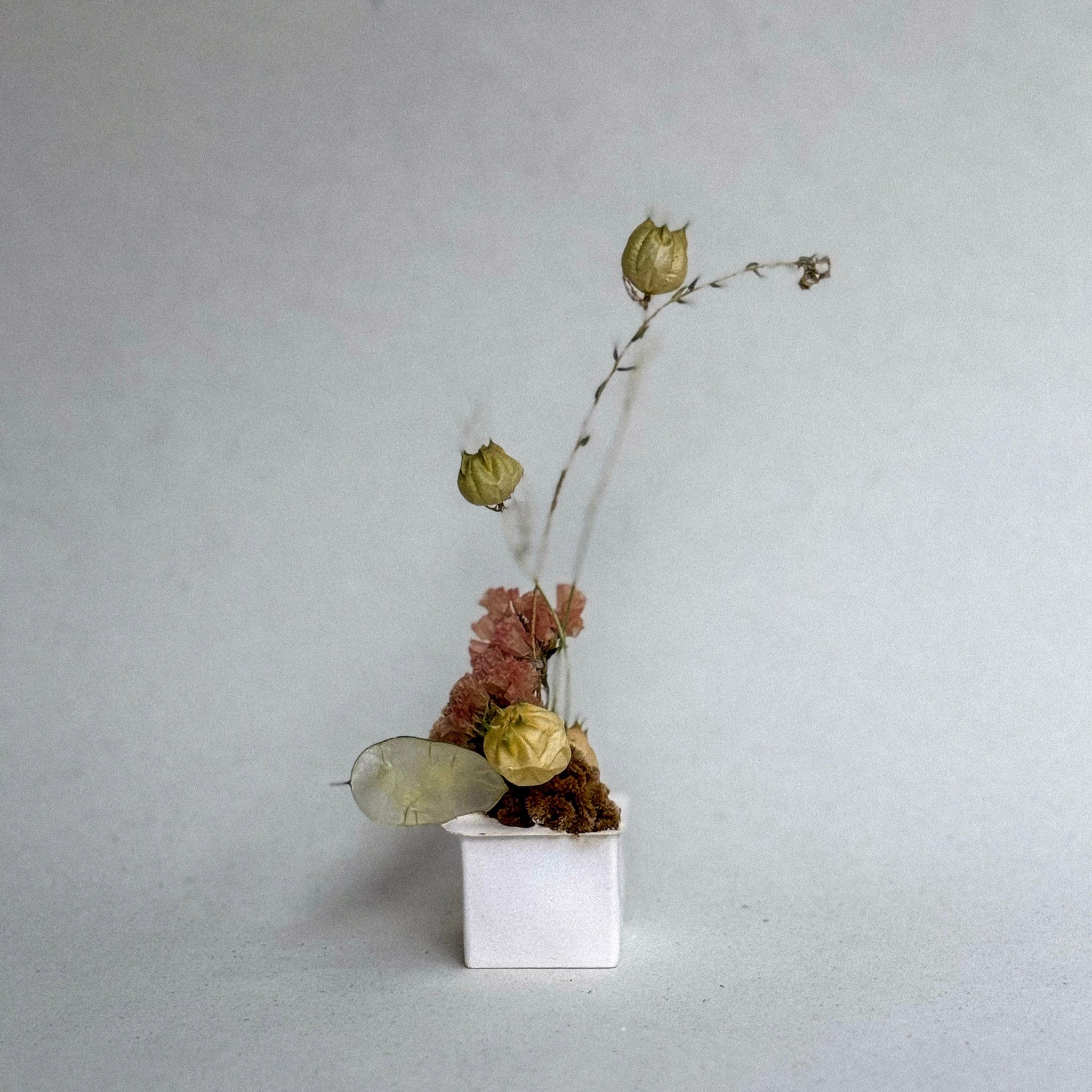 Small arrangement of dried flowers in a white container on a light gray background