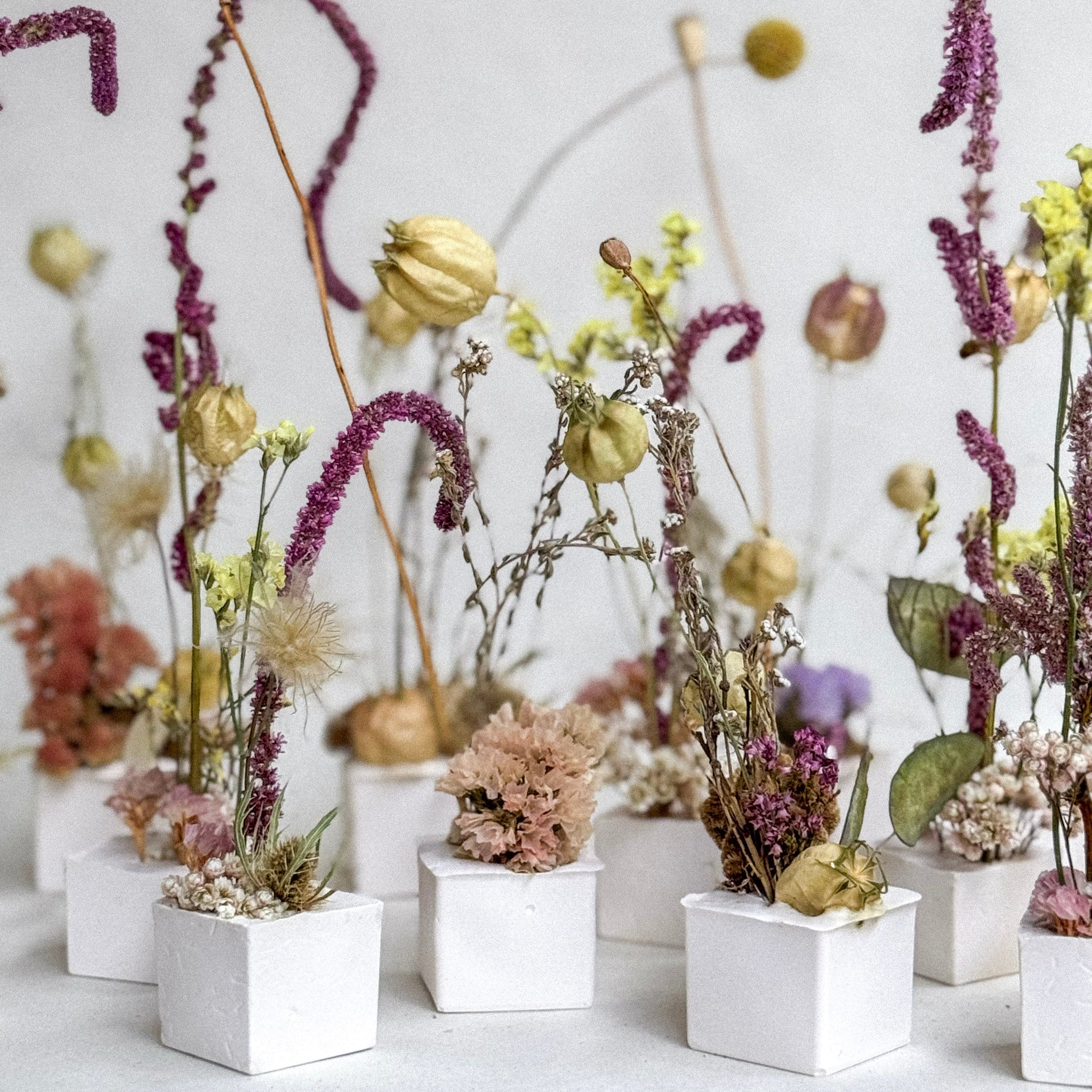 Decorative dried flowers in small white containers on a light background